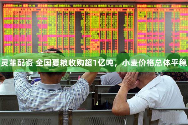 灵菲配资 全国夏粮收购超1亿吨，小麦价格总体平稳