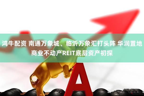 鸿牛配资 南通万象城、临沂万象汇打头阵 华润置地商业不动产REIT底层资产初探